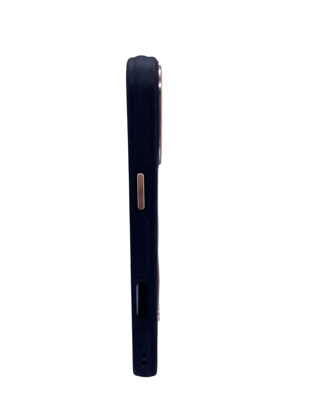 coach case luxe