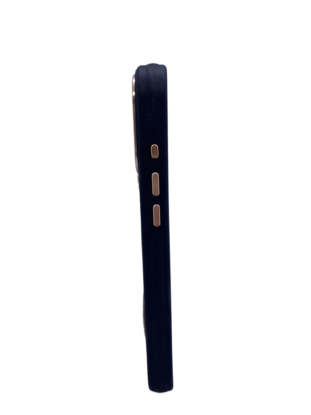 coach case luxe
